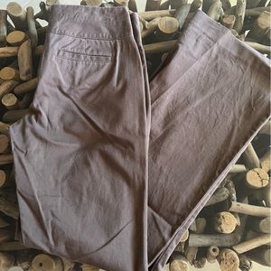 EXPRESS Editor Pants